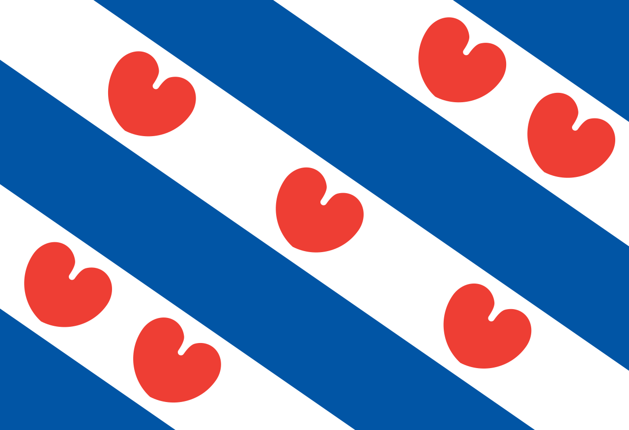 tzi90, b 2 Friese vlag